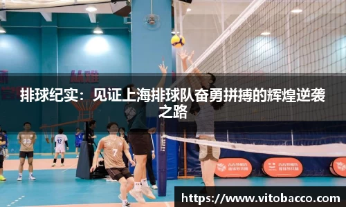 排球纪实：见证上海排球队奋勇拼搏的辉煌逆袭之路